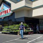 On Sunday, most grocery store shoppers approached Thriftway with masks already in place. Masks are still required for all inside the store, for now, said management (Tom Hughes Photo).