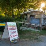 La Biondo Farm Stand, on Vashon (Terry Donnelly Photo).