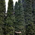 An exhibit of works by Shelley Hanna, Burns Park, can be seen at Snapdragon (Shelley Hanna Artwork).