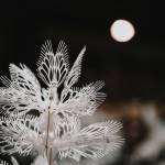 (Photo Courtesy Vashon Center for the Arts) Seattle artist Casey Currans Parable of Gravity will be on display at VCA for the month of October.