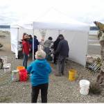 Courtesy Photo
Vashon volunteers added to the contents of an ETAP (Escaped Trash Assessment Protocol) collection tent, during a beach cleanup in the spring at the north end of Quartermaster Harbor near Portage.