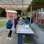 (Photo Courtesy Teri Rutledge) Students arriving to school and receiving rapid antigen tests.