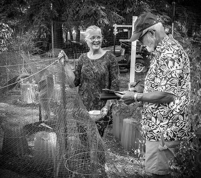 Terry Donnelly Photo
Patty Hieb and Bruce Haulman at Pattys Dockton farm where she carried on Helen Brocards tradition of growing Marshall Strawberries. Marshalls were the strawberry that powered the success of Vashon strawberries through the first seven decades of the 20th Century.