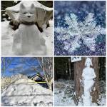 (Clockwise, left to right: Mary Jo Svendsen, Alice Burns, Nancy Hosticka and Jim Diers Photos)