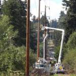 (File Photo Courtesy of Puget Sound Energy) Multiple workers for PSE trim and remove trees to clear pathways for utility lines.