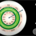 Doughnut Economics Action Lab Graphic
Doughnut Economics is illustrated as a conventional doughnut shape of a squashed sphere, with a central hole as the inner limit.