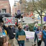 (Pam Clough Photo) Among the more than one dozen sponsors of Saturdays rally were Vashons Backbone Campaign, as well as the Save Our wild Salmon (SOS) Coalition, a regional advocacy organization led by islander Joseph Bogaard.