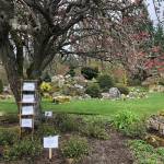 (Brit Myers Photo) The grounds of Mukai Farm & Garden during Sundays event.