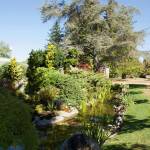 (File Photo) Special guests to Mukai Farm & Gardens 80th Day of Exile event include Paula Wong and Abbott Koshin Cain of the Puget Sound Zen Center, who will lead the ringing of a temple bell for each displaced family, as well as offer a blessing.