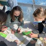 (Courtesy Photo) Vashon High School students aboard the Argosy, which circumnavigated the island as students studied marine environments. The experience was made possible by the Vashon Nature Center, with funding from the Vashon Schools Foundation.