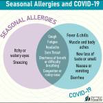 (Washington State Department of Health Infographic) This diagram shows how easy it can be to confuse a seasonal allergy (hay fever) with COVID.