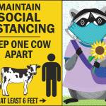 (Jenna Riggs Art) <em>Please Have a Cow and Get Masked: </em>Masking and getting some distance from others will go a long way towards keeping you safe from COVID, along with getting vaccinated and boosted. Just be careful and use common sense; thats the basic idea. Theres a lot of COVID out there.