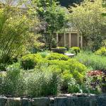 (Erika Carleton Photo) The lush garden of Winnie Mitchell and Ralph Frable is included in this years Garden Tour.
