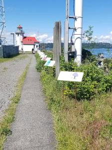 (John van Amerongen Photo)