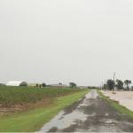 (Photo courtesy of Jim Johnson, Noble Research Institute) In Russ Jacksons field on the left, green cover crops protect the soil and increase its capacity to filter and hold rainwater. The neighboring field on the right is bare and flooded after rain.