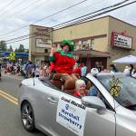 Elizabeth Shepherd photo
Strawberry Festivals Grand Parade was led by Mukai Marshall Strawberry, a character chosen as Grand Marshal for the festival and embodied by Mukai Farm & Gardens enthusiast, Paul Rowley.