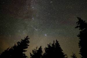 Perseid meteor shower in August 2021. Photo courtesy of Nasa.gov/Bill Ingalls