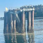 Pam Kirkpatrick Photo
The Cathlamet crashed into these protective pilings, known as a dolphin, as it missed its approach to the Fauntleroy Ferry Terminal.