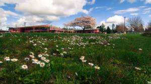 Courtesy Photo 
Vashon High School