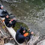 Vashon Nature Center Director Bianca Perla with interns Amanda Kyles and Leo Ned Neidinger during a snorkel survey at the Tahlequah Restoration site. (Brendan McGarry Photo)