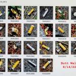 A composite photo shows cigarette butts found in one walk along a stretch of Vashon Highway. Since February, Peter Ray has compiled 25 such composites. (Peter Ray Photograph)