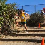 Oli Nielsen flies down the stairs in Bellevue (Courtesy Photo).