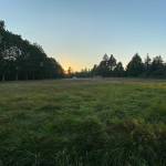 Vashon Health Care District closed on this 2.3-acre property, located on Vashon Highway just south of Kathys Corner garden center, where it eventually intends to build a community-owned primary health care clinic. (Tom Hughes Photo)