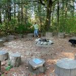 Dana Schuerholz tends one of five stump circles at Vashon Green School (Steve Bergman Photo).