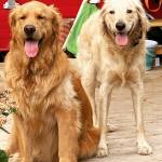 Filson (left) with his best friend Winston (Courtesy Photo).