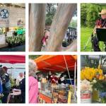 Elizabeth Shepherd and Tom Hughes Photos