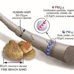 This infographic from EPA.gov compares the sizes of wildfire smoke particles to human hair and fine beach sand. Particles of PM2.5 (2.5 microns or smaller) are considered the most dangerous to human health (Courtesy Photo).
