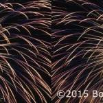 An example of one of Bob Venezias stunning two-image 3D photographs (Bob Venezia Photo).