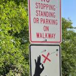 These signs warning islanders not to flick cigarette butts on island roadways have now been removed (Courtesy Photo).