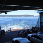 Alex Bruell Photo
Motorists wait to arrive on Vashon Island after departing the Point Defiance ferry terminal in Ruston.