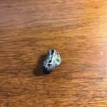 On Oct. 29, an islander discovered that a bookcase in their accessory dwelling unit had been splintered by a shotgun blast (Courtesy Photo).