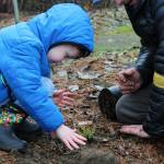 Alex Bruell photo
A little one helps with planting at the new Dockton Park Playground.