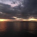 Elizabeth Shepherd Photo