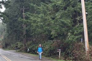Leslie Brown photo
Islander Jenny Bell stands in front of her property on a drizzly day, next to Puget Sound Energy power poles and trees which she fears are at risk were she to sign a PSE easement.