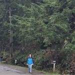 Islander Jenny Bell stands in front of her property on a drizzly day, next to Puget Sound Energy power poles and trees which she fears are at risk were she to sign a PSE easement. Photo by Leslie Brown.