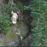 Photo courtesy Vashon Island Fire and Rescue Lieutenant Ben Steele rappels down a cliff at KVI beach to rescue Kirby, who was stranded on a thin strip of plateau.
