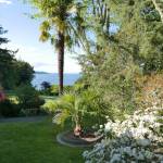 Breathtaking vistas at Accidental Arboretum are framed by Afghan Pine, Hungarian Oak, Palestinian Oak, Cedar of Lebanon, Persian Ironwood, Mt. Tabor Oak, Swiss Mountain Pine, and more. Photo courtesy Margaret and Gary Koch.
