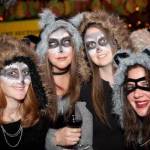 Vashon Island Pet Protectors is looking forward to welcoming islanders to its Big Harriest Furball Ever fundraising gala on May 18, at Open Space for Arts & Community (Courtesy Photo).