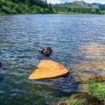 Bryan Black photo 

Researchers uncovering insights into an 1,100 year-old extreme earthquake event counted ancient tree rings and used a new carbon-14 dating technique to detect spikes in cosmic ray effects on the rings. The scientists shown here collected some data by using underwater chainsaws to slice sections from trees that toppled into lakes in the earthquake event.