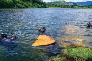Bryan Black photo 

Researchers uncovering insights into an 1,100 year-old extreme earthquake event counted ancient tree rings and used a new carbon-14 dating technique to detect spikes in cosmic ray effects on the rings. The scientists shown here collected some data by using underwater chainsaws to slice sections from trees that toppled into lakes in the earthquake event.
