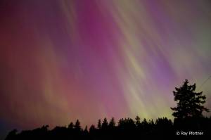 The light show from Portage, looking over Quartermaster Harbor, early in the morning on May 11 (Ray Pfortner photo).