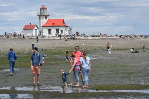 Families visit Point Robinson Park for the Low Tide Festival. (Jim Diers photo.)
