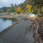 This 2021 file photo shows restoration efforts at Tahlequah Beach on the islands south end. Swimmers will set off from this general area of Vashons southern tip, heading toward Pt. Defiance. (Terry Donnelly photo.)