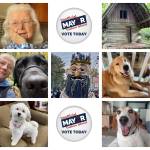 The candidates of Unofficial Mayor are (left to right, top row) Marjorie Watkins, Uncle Wigglebottom, (middle row) Andy the Service Dog, Edgar the Forest King, and Nisqually, (bottom row) Fiona and Buddy Butterbean Bukowski. (Courtesy photos.)
The candidates of Unofficial Mayor are (left to right, top row) Marjorie Watkins, Uncle Wigglebottom, (middle row) Andy the Service Dog, Edgar the Forest King, and Nisqually, (bottom row) Fiona and Buddy Butterbean Bukowski. (Courtesy photos.)