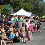Big crowds turned out Saturday to catch the Strawberry Festival parade. (Alex Bruell photo)