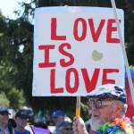 A sign reads Love is Love at the Strawberry Festival parade. (Alex Bruell photo)
